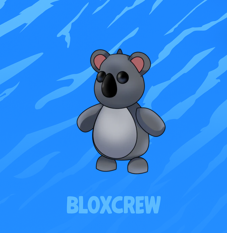 Koala