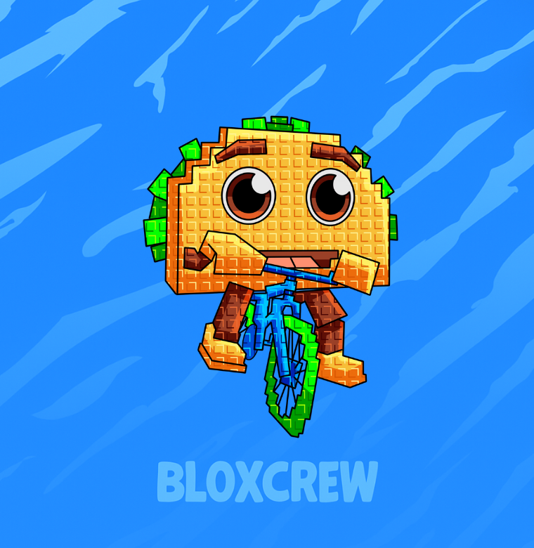 Tacorita Bicicleta