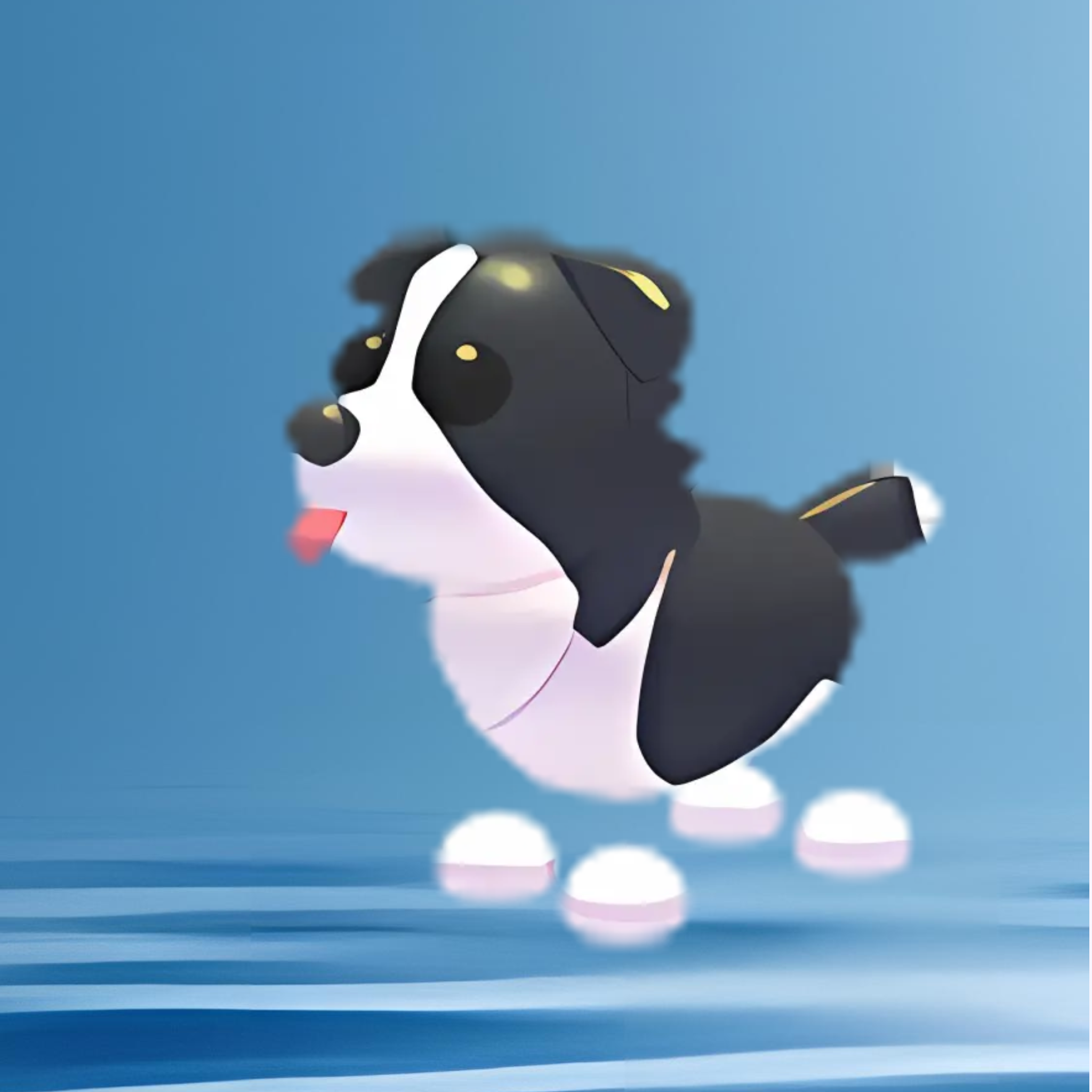 Border Collie