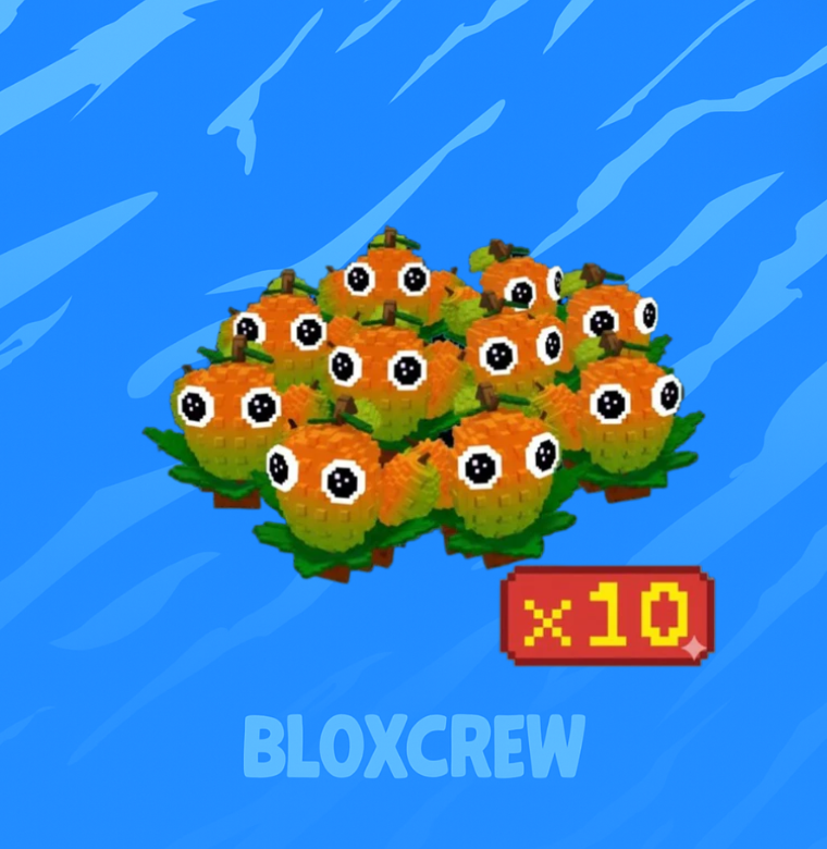 x10 Mango Bundle