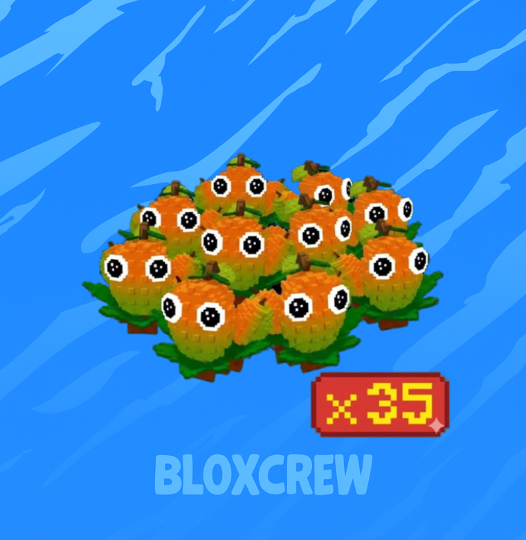 x35 Mango Bundle