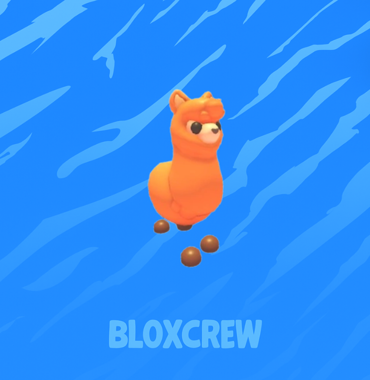 Alpaca