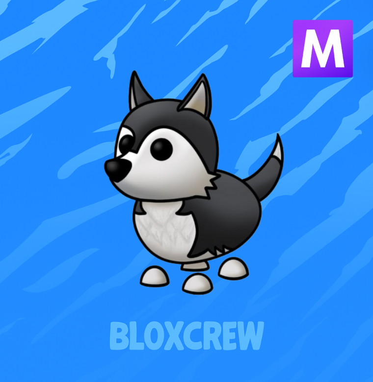 Mega Husky