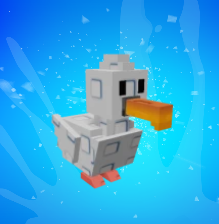 Age 77 - Seagull